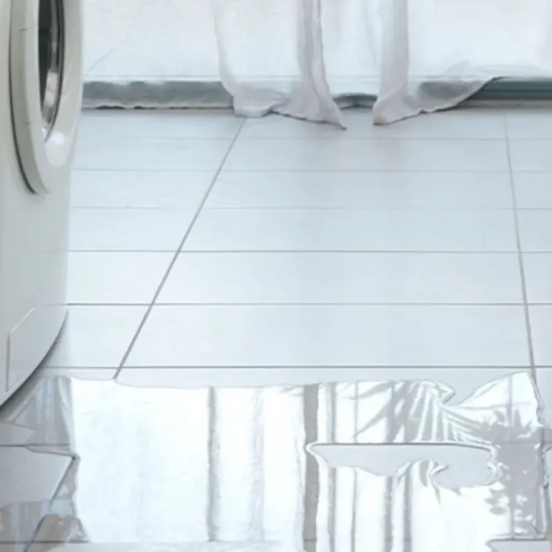 Appliance Leak Cleanup in Scotland, PA