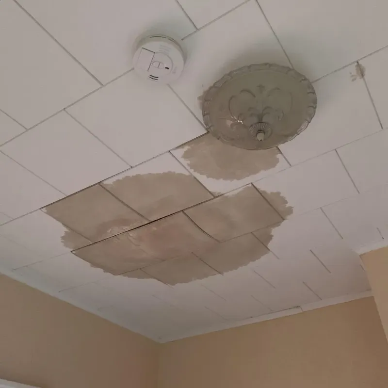 Ceiling Water Damage Repair in Scotland, PA