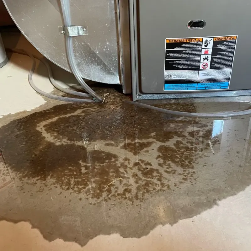 Pipe Burst and Leak Restoration in Scotland, PA