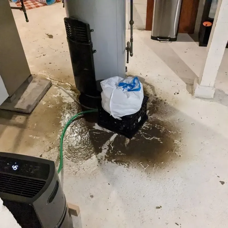 Sewage Backup Cleanup Service in Scotland, PA